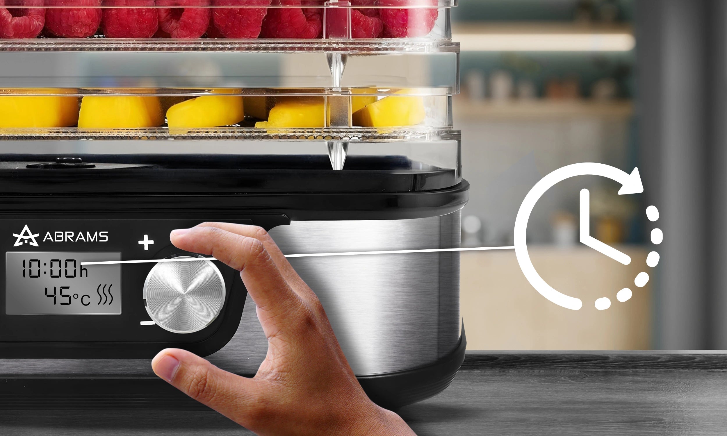 Suszarka Do Grzybów Warzyw i Owoców 600W Regulacja Temperatury Timer 5 Sit